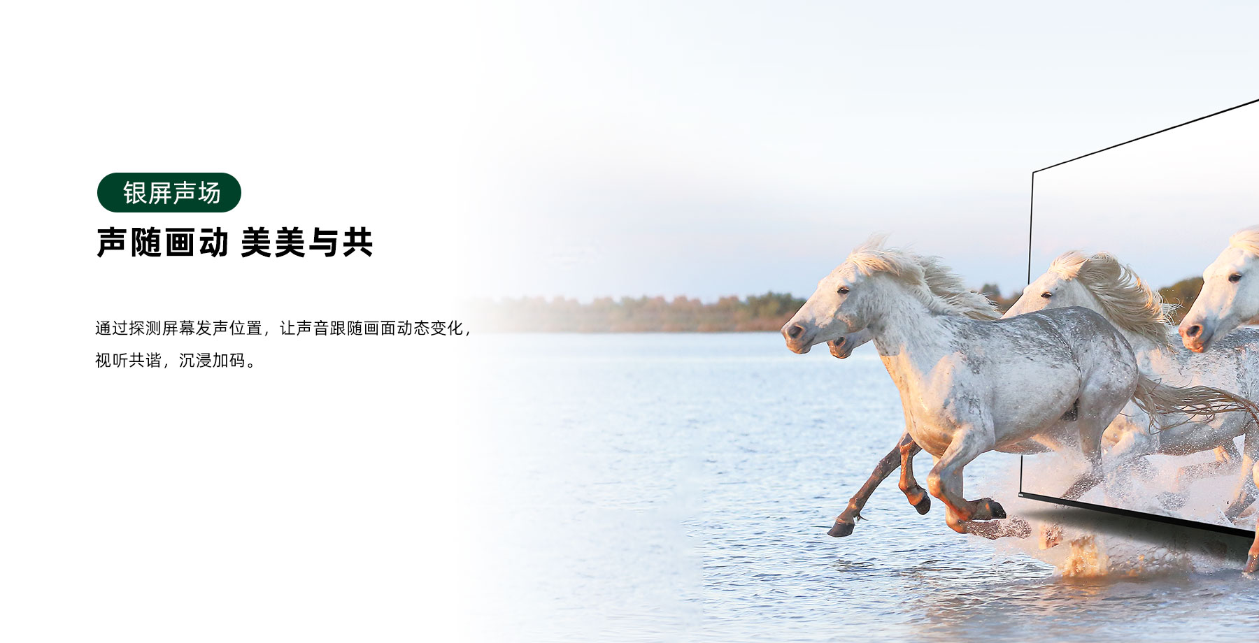 600-1800x920-6.jpg