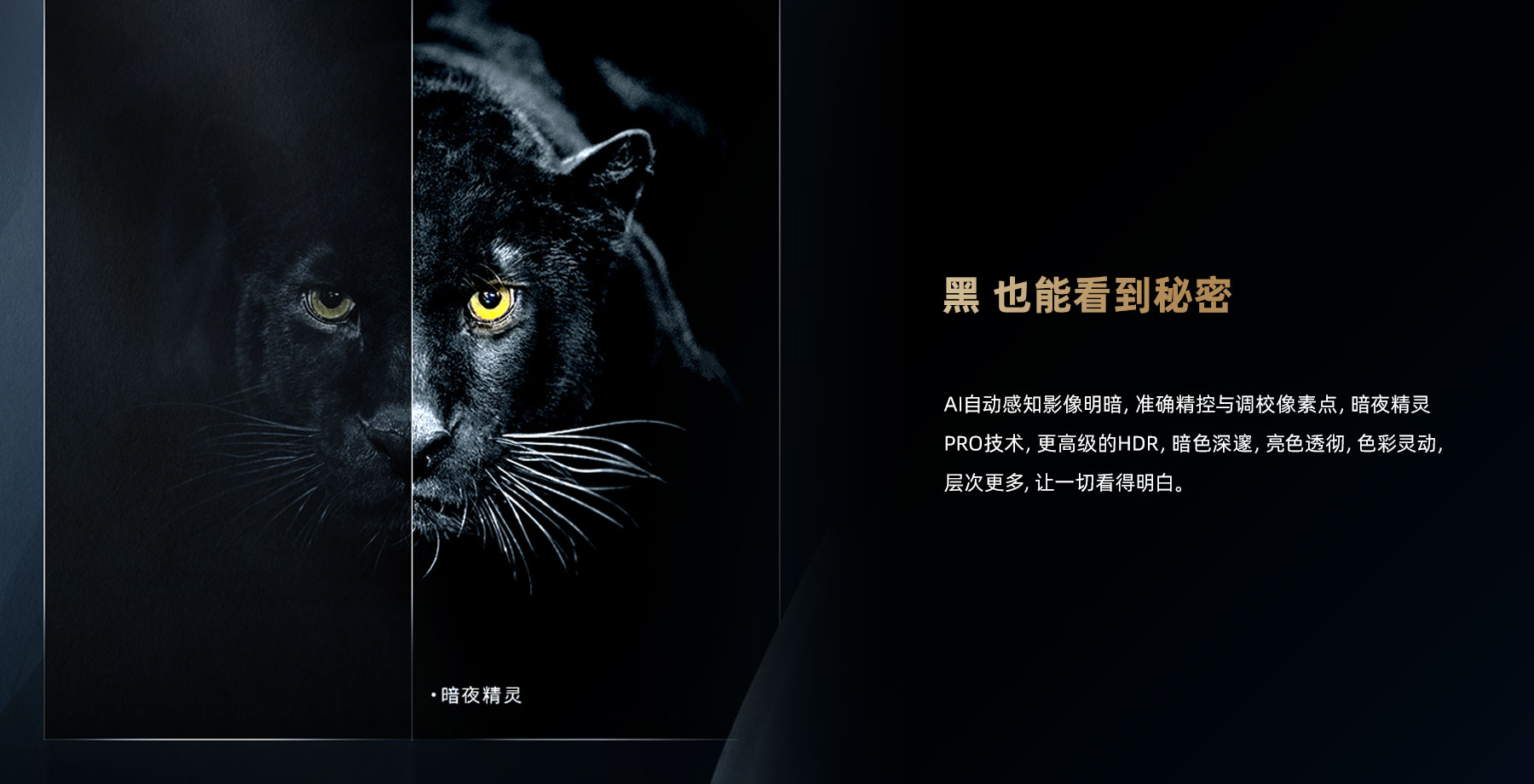 8900-1800x920-7.jpg
